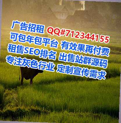 石狮借腹生子企业管理公司